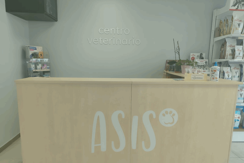 instalaciones recepción centro veterinario Asis