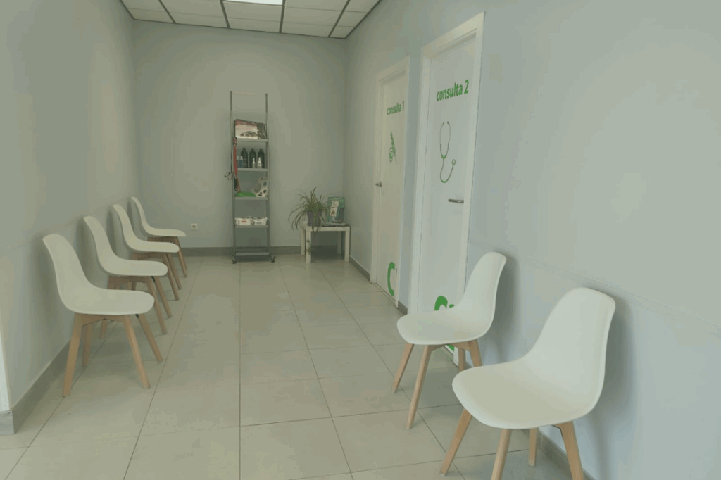 instalaciones sala de espera centro veterinario Asis