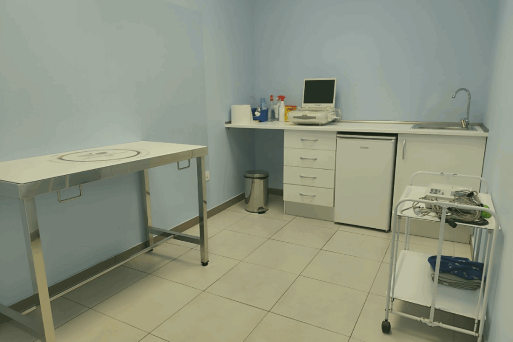 instalaciones consulta centro veterinario Asis