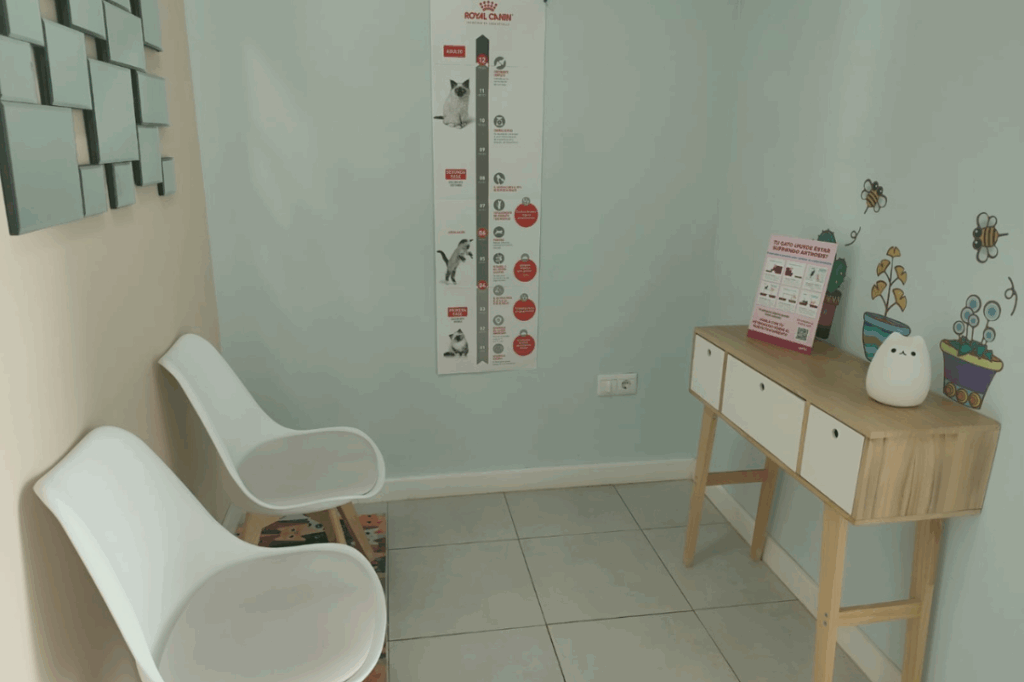 instalaciones zona felina centro veterinario Asis