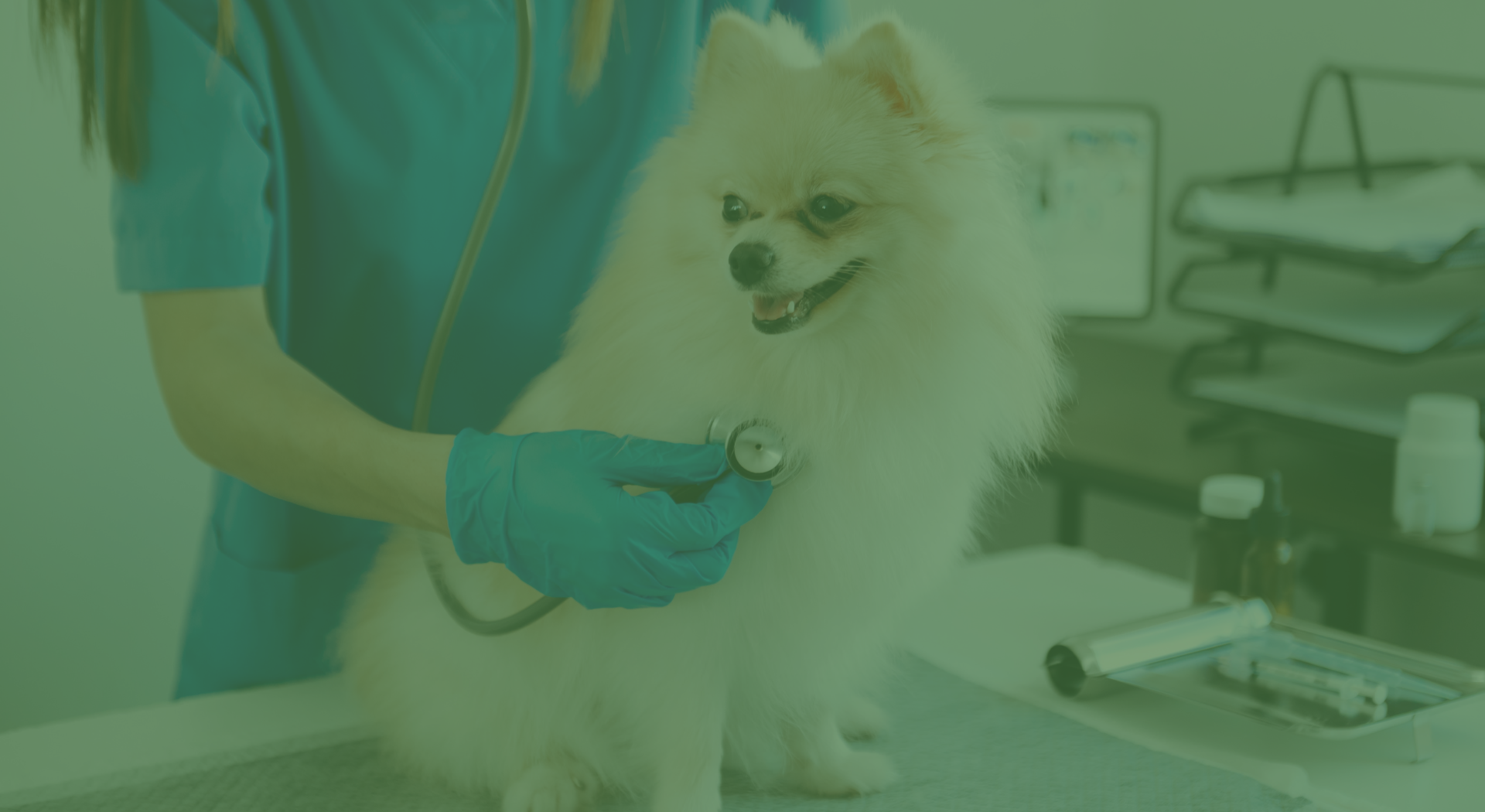 Centro Veterinario ASIS