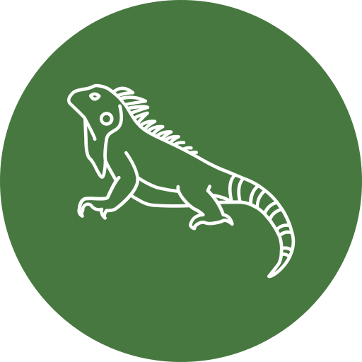 icono iguana