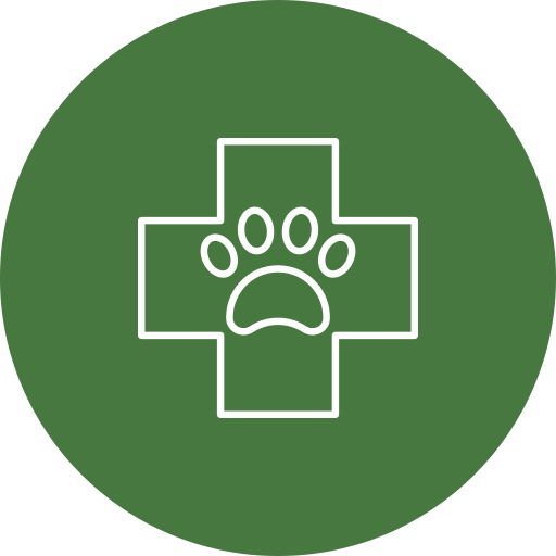 icono medicina general