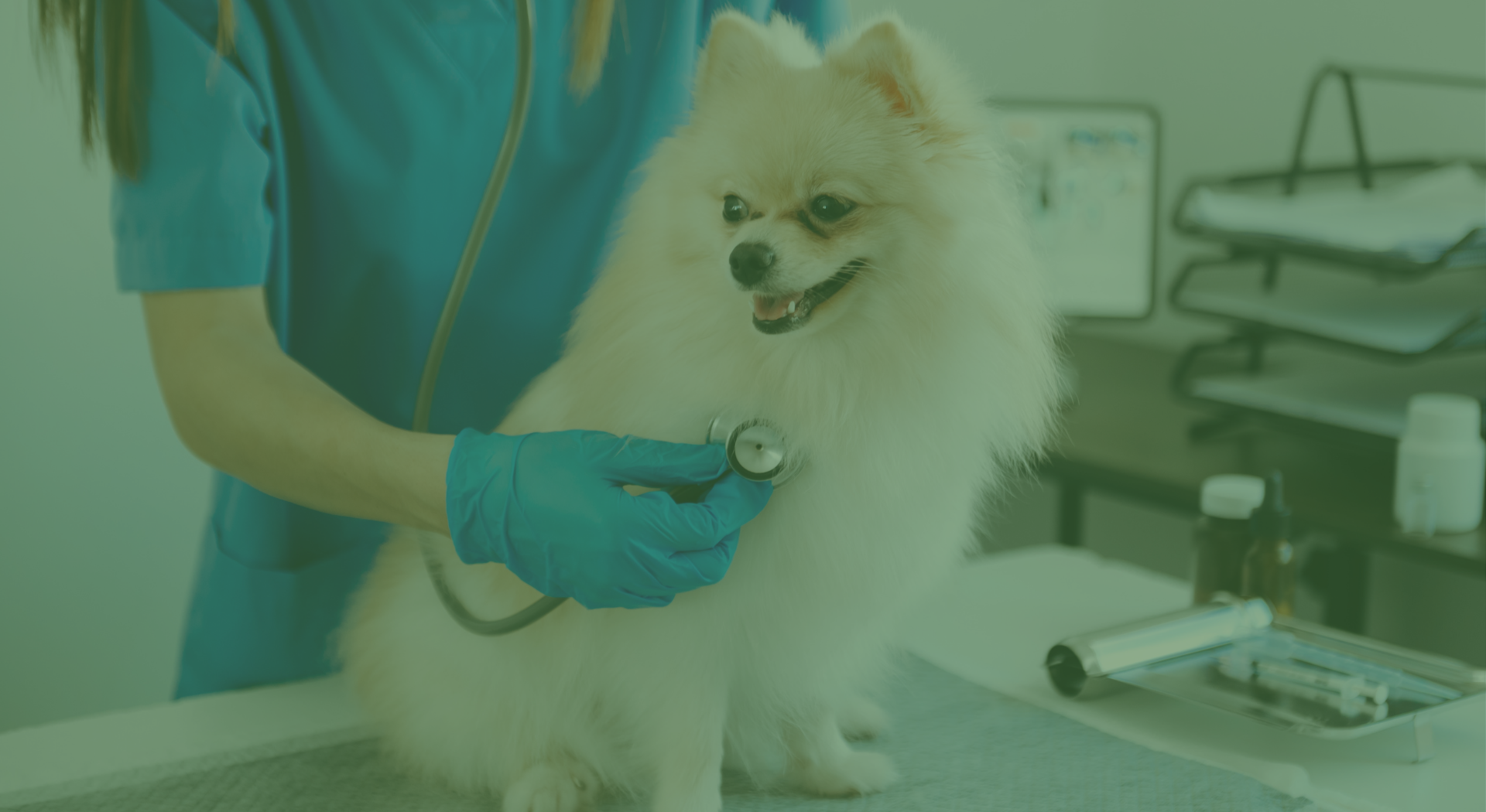 Centro Veterinario ASIS